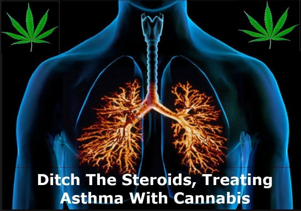 Fix Asthma with Delta 8 (Cannabinoids)